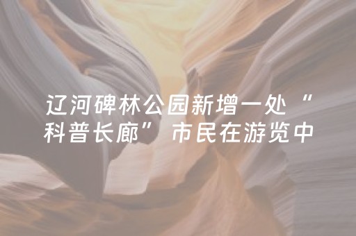 辽河碑林公园新增一处“科普长廊” 市民在游览中感受科学魅力