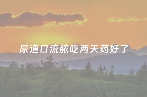 尿道口流脓吃两天药好了（男生下面流脓,尿痛应该吃什么药）