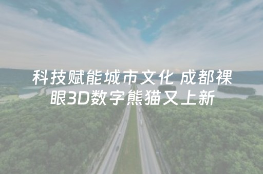科技赋能城市文化 成都裸眼3D数字熊猫又上新
