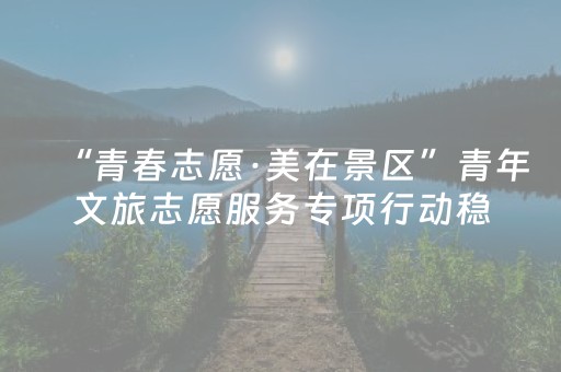 “青春志愿·美在景区”青年文旅志愿服务专项行动稳步推进