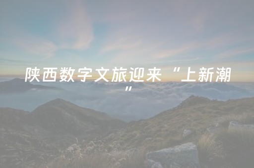 陕西数字文旅迎来“上新潮”