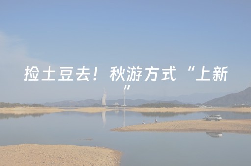 捡土豆去！秋游方式“上新”