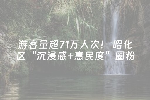 游客量超71万人次！ 昭化区“沉浸感+惠民度”圈粉无数