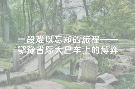 一段难以忘却的旅程——鄂豫省际大巴车上的博弈