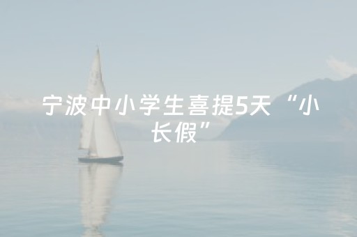 宁波中小学生喜提5天“小长假”，机票预订量增长超2倍