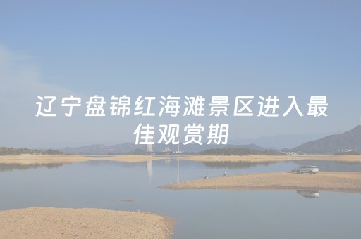 辽宁盘锦红海滩景区进入最佳观赏期