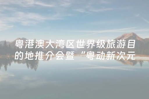 粤港澳大湾区世界级旅游目的地推介会暨“粤动新次元”动漫潮玩展在东京举行