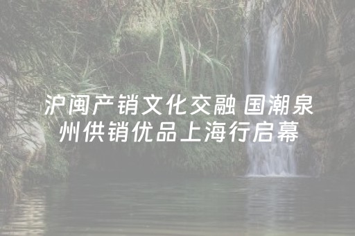 沪闽产销文化交融 国潮泉州供销优品上海行启幕