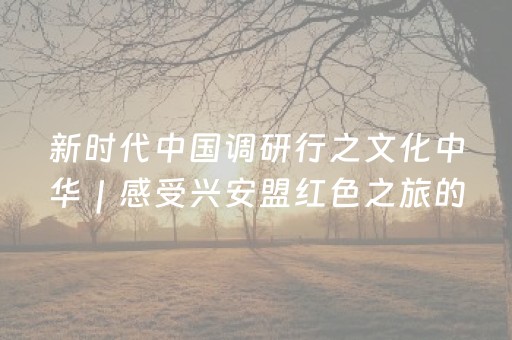 新时代中国调研行之文化中华｜感受兴安盟红色之旅的魅力