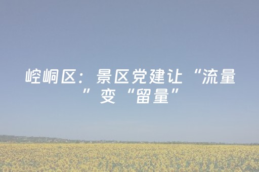 崆峒区：景区党建让“流量”变“留量”
