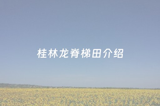 桂林龙脊梯田介绍（桂林龙脊梯田介绍资料）