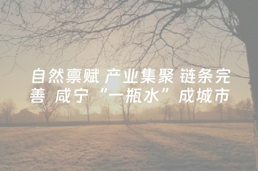 自然禀赋 产业集聚 链条完善  咸宁“一瓶水”成城市新名片