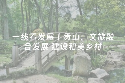 一线看发展丨贡山：文旅融合发展 建设和美乡村