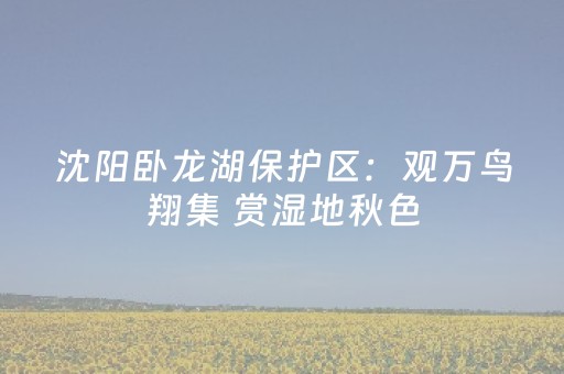 沈阳卧龙湖保护区：观万鸟翔集 赏湿地秋色