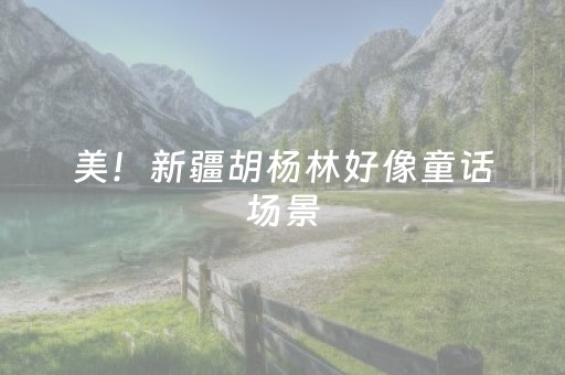 美！新疆胡杨林好像童话场景