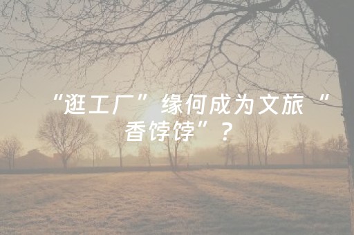 “逛工厂”缘何成为文旅“香饽饽”？
