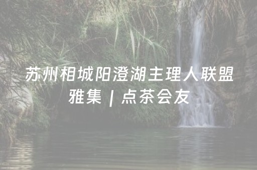 苏州相城阳澄湖主理人联盟雅集｜点茶会友，聚力共生