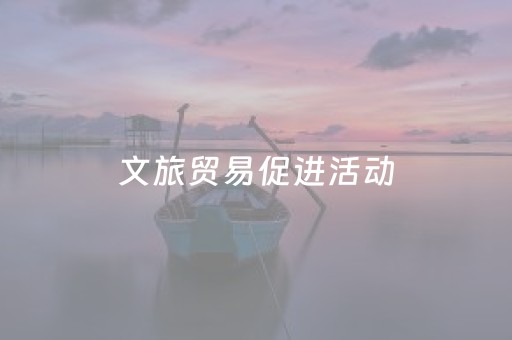 文旅贸易促进活动（非遗老字号专题）举办