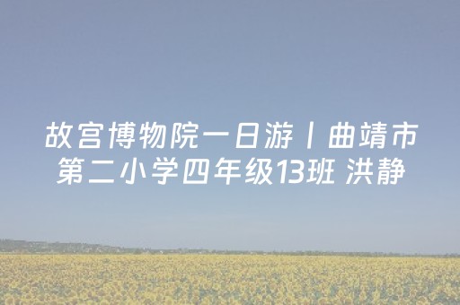 故宫博物院一日游丨曲靖市第二小学四年级13班 洪静怡