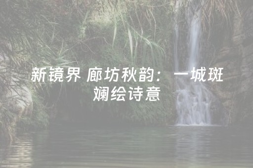 新镜界 廊坊秋韵：一城斑斓绘诗意