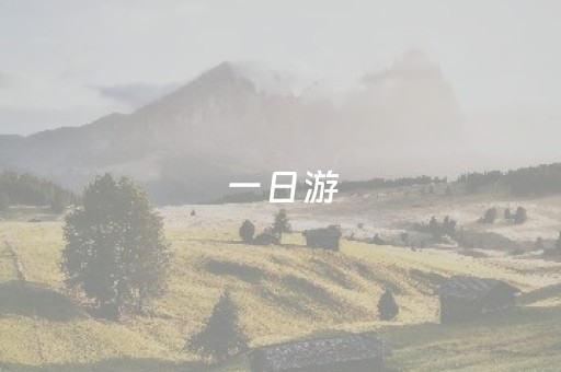 一日游