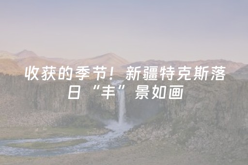 收获的季节！新疆特克斯落日“丰”景如画