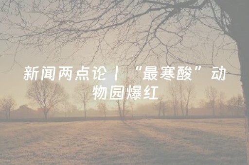 新闻两点论丨“最寒酸”动物园爆红，“真情”或成县域文旅下一站取胜密码