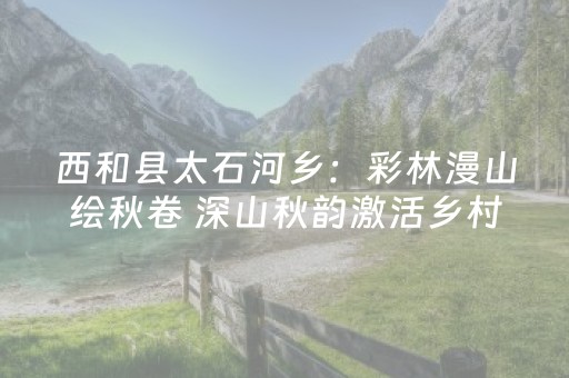 西和县太石河乡：彩林漫山绘秋卷 深山秋韵激活乡村游
