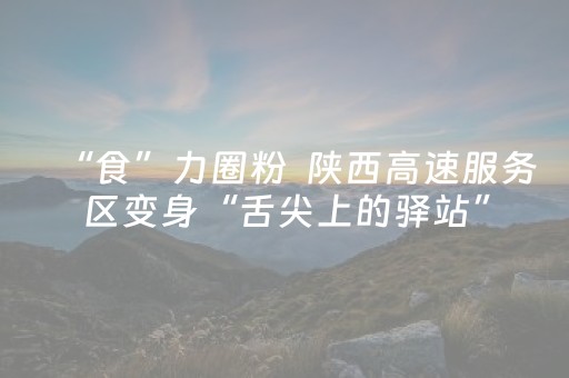 “食”力圈粉  陕西高速服务区变身“舌尖上的驿站”