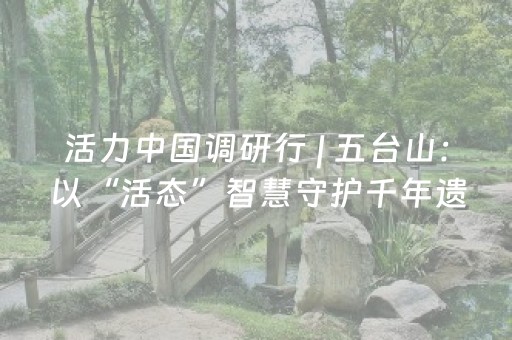 活力中国调研行 | 五台山：以“活态”智慧守护千年遗产