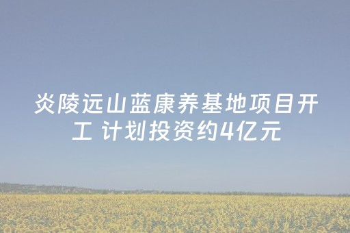 炎陵远山蓝康养基地项目开工 计划投资约4亿元