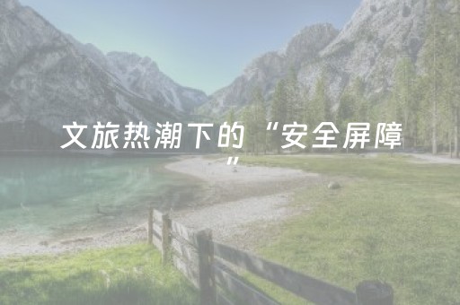 文旅热潮下的“安全屏障”