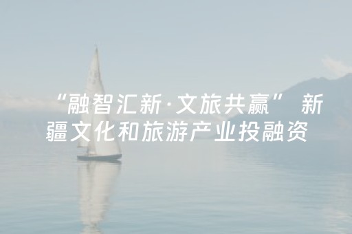 “融智汇新·文旅共赢” 新疆文化和旅游产业投融资对接会举行