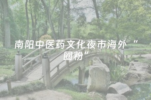 南阳中医药文化夜市海外“圈粉”