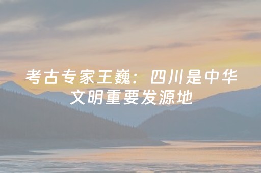 考古专家王巍：四川是中华文明重要发源地