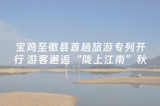 宝鸡至徽县首趟旅游专列开行 游客邂逅“陇上江南”秋日盛宴