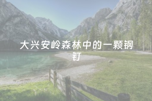 大兴安岭森林中的一颗钢钉（寻访）