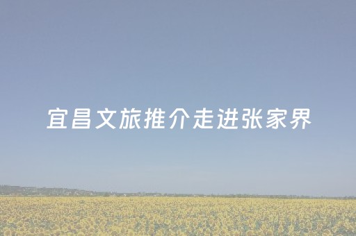 宜昌文旅推介走进张家界