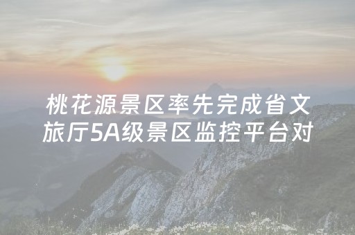 桃花源景区率先完成省文旅厅5A级景区监控平台对接