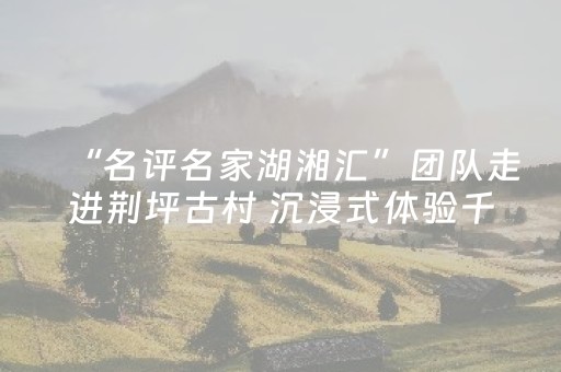 “名评名家湖湘汇”团队走进荆坪古村 沉浸式体验千年“活态”历史