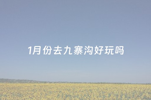 1月份去九寨沟好玩吗（一月份去九寨沟好吗）