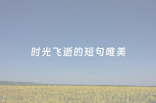 时光飞逝的短句唯美（高中时光飞逝的短句唯美）
