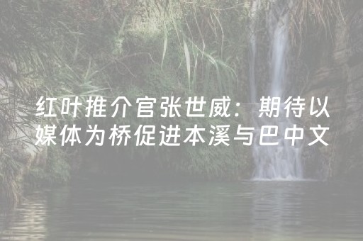 红叶推介官张世威：期待以媒体为桥促进本溪与巴中文旅交流