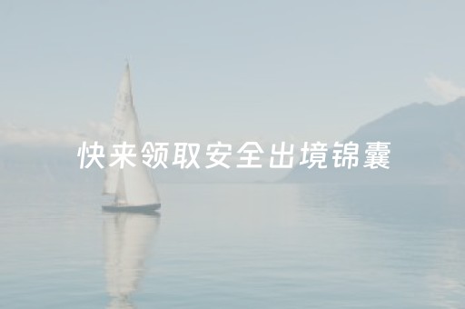 快来领取安全出境锦囊