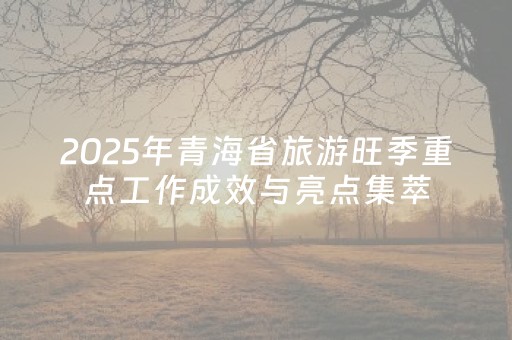 2025年青海省旅游旺季重点工作成效与亮点集萃（二）