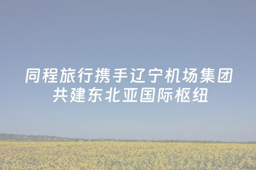 同程旅行携手辽宁机场集团 共建东北亚国际枢纽