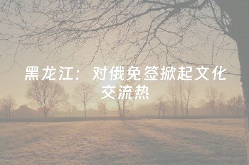 黑龙江：对俄免签掀起文化交流热