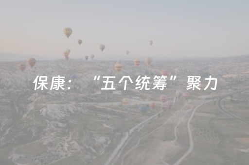 保康：“五个统筹”聚力，打造国内知名生态文旅康养高地