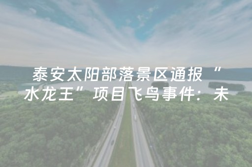泰安太阳部落景区通报“水龙王”项目飞鸟事件：未有游客受伤