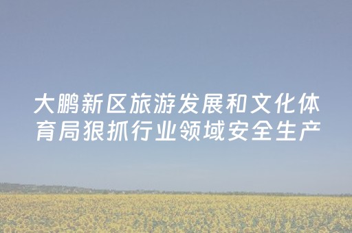 大鹏新区旅游发展和文化体育局狠抓行业领域安全生产集中整顿工作